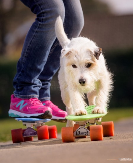 Skateboarding Smurf