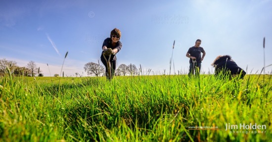 Tree Planting